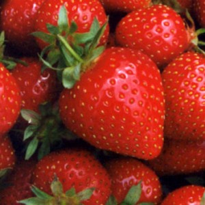 .98/lb for strawberries