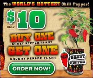 ghost peppers
