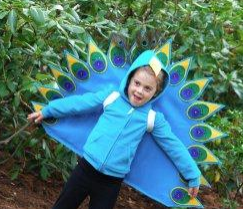 peacock costume