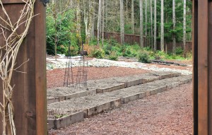 Mavis Garden
