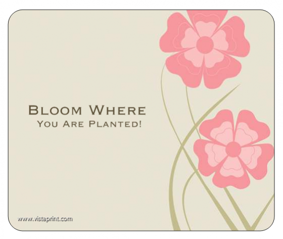 Vistaprint Free mousepad