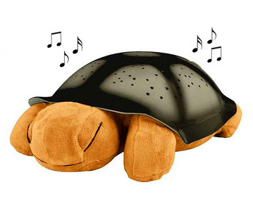turtle night light