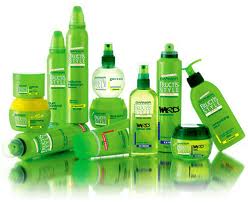 GARNIER FRUCTIS STYLE Product