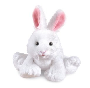 bunny