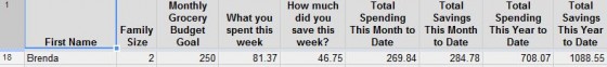 BRENDA BUDGET WINNER