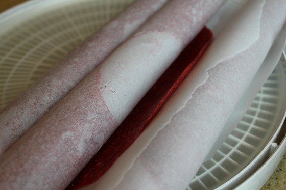 dehydrator fruit rolls