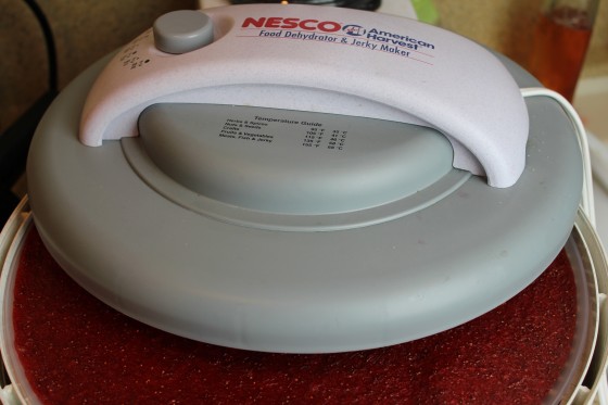 dehydrator nesco