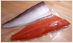 salmon