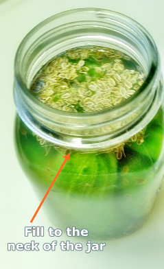Pickles how high to fill jar