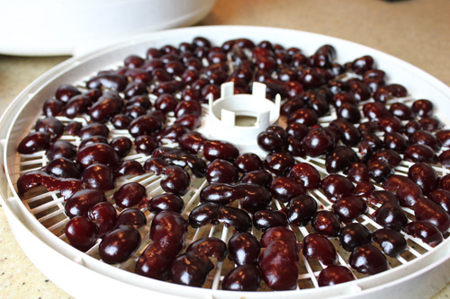 cherry dehydrate rack