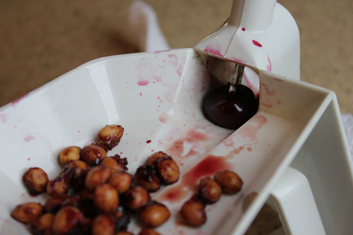 cherry pitter single