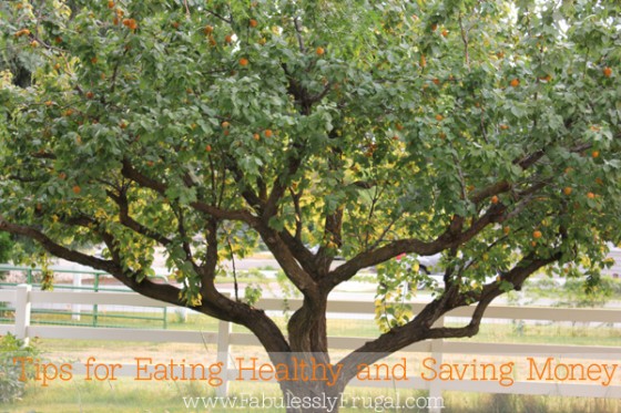 eat healthy save money
