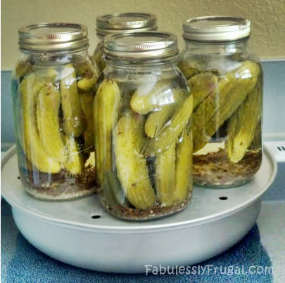 pickles on canner 2