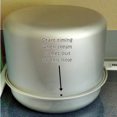 steam canner