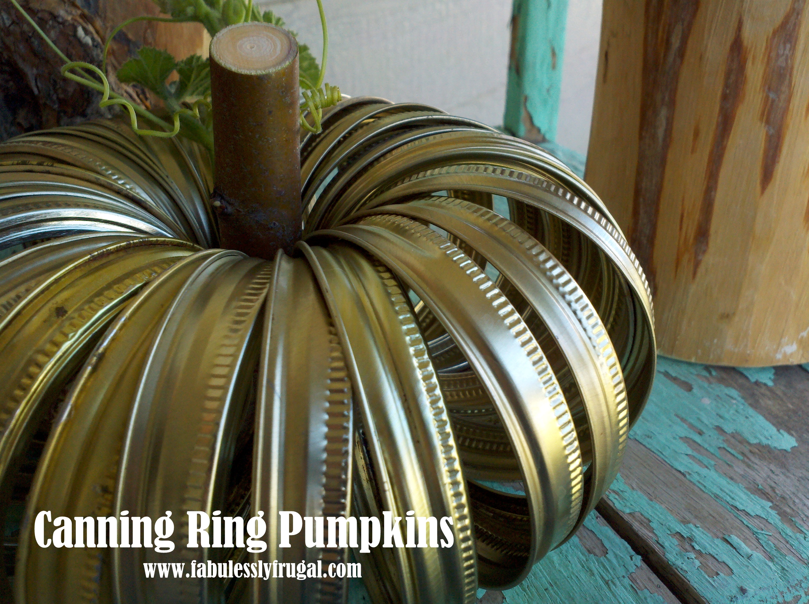 canning ring pumpkin