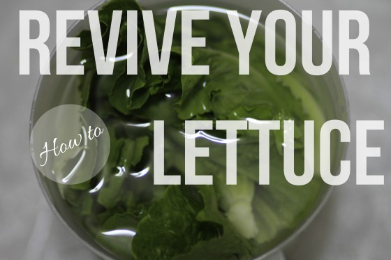revivelettuce