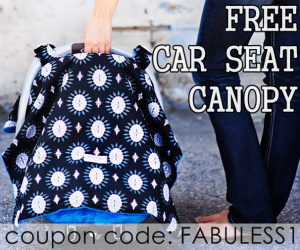 FREE CAR SEAT CANOPY