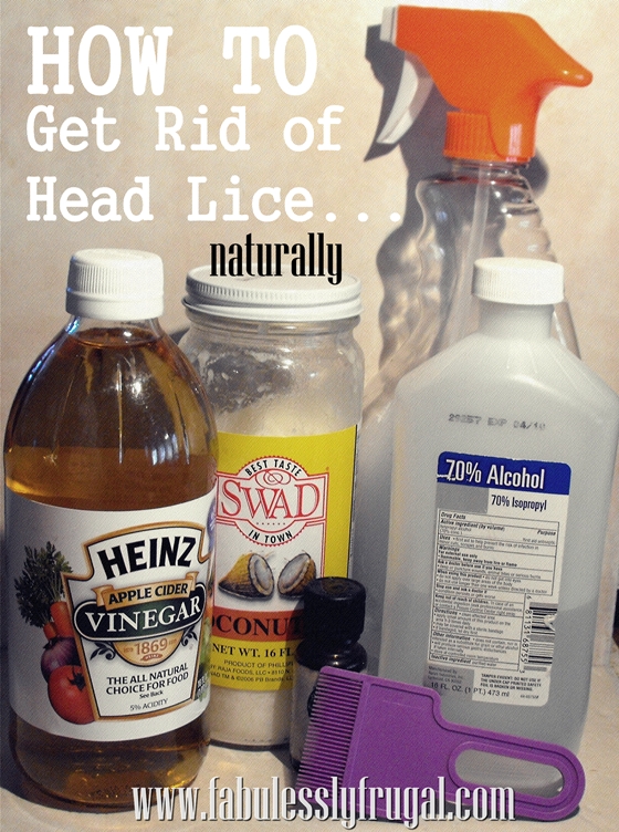 How To Get Rid Of Head Lice Naturally | LONG HAIRSTYLES