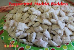 peppermint muddie buddie recipe