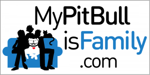 My Pit bull is Family Bumper Sticker