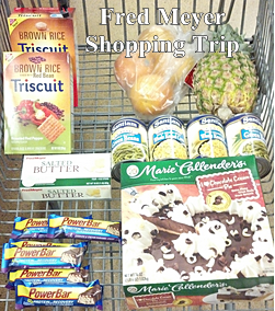 Fred Meyer Shopping Trip 3-27