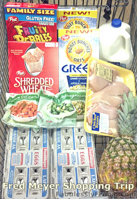 Fred Meyer Shopping trip 3-21