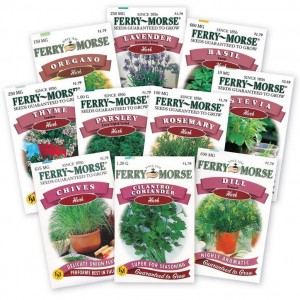 herb seeds