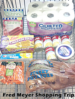 Fred Meyer Shopping Trip 4-09