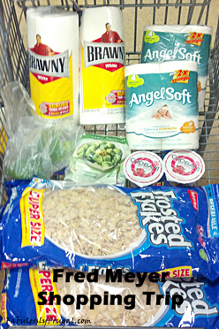 Fred Meyer shopping trip 4-02