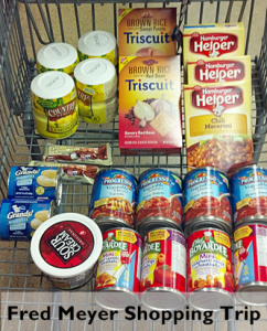 Fred Meyer Shopping Trip 5-07