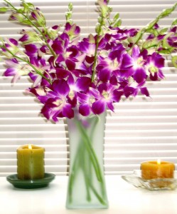Fresh Flowers-Orchids