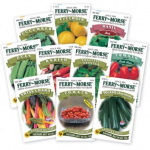 ferry moore seeds
