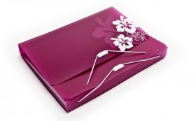 Duo binder purple