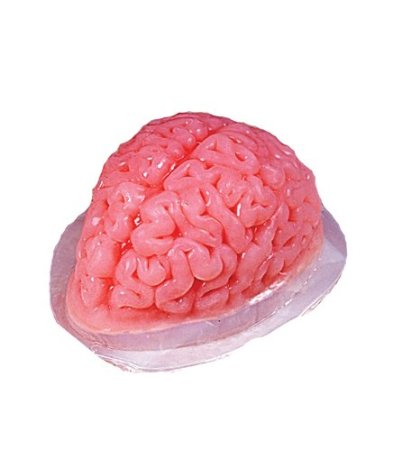 Human Brain Gelatin Mold Halloween Party Prop