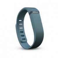 fitbit flex slate wristband