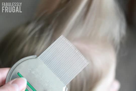lice comb hair rid head eggs