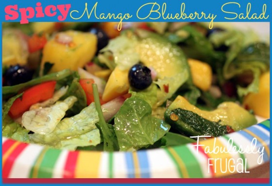 Spicy Mango Blueberry Salad Recipes Fabulessly Frugal