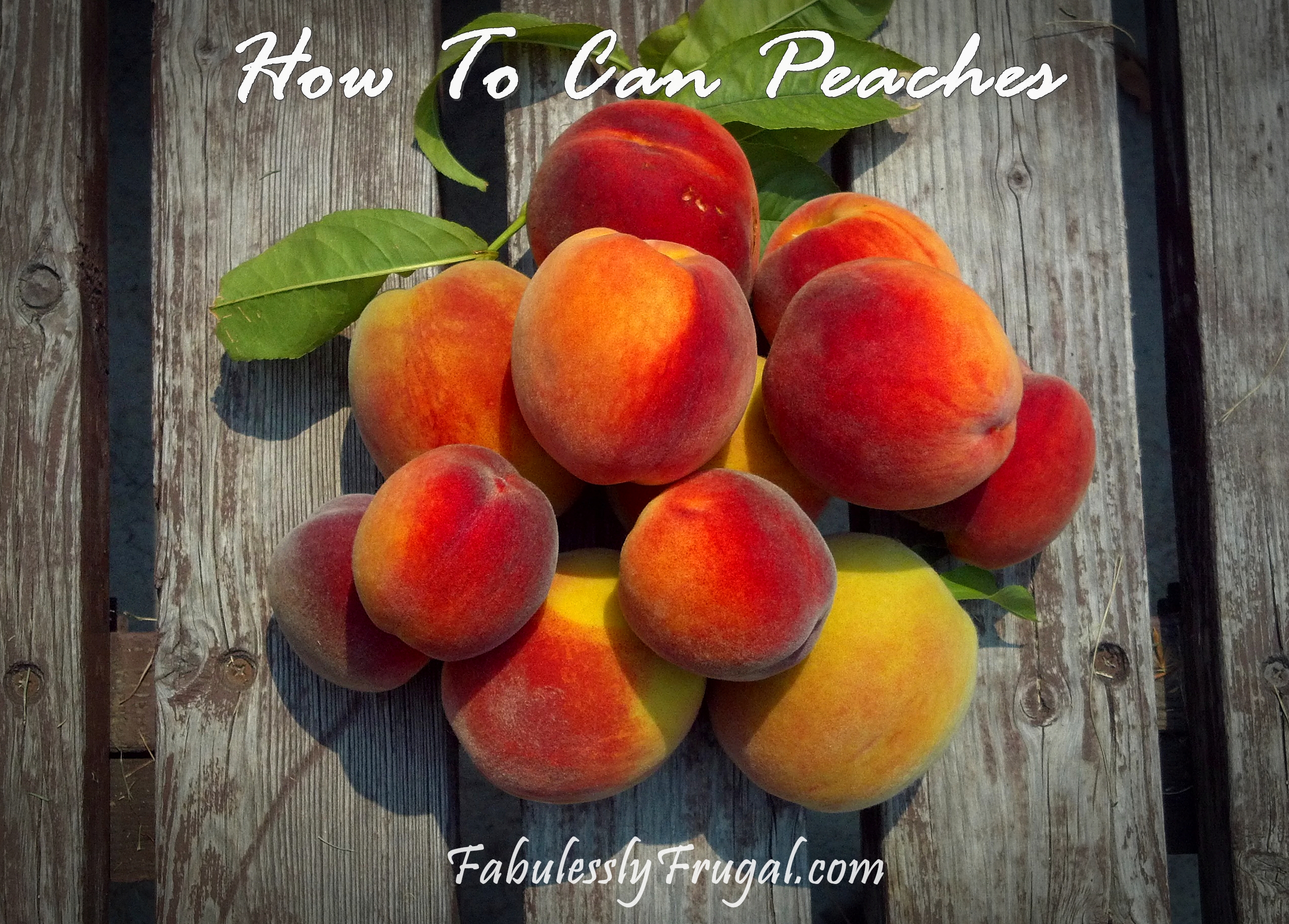 How To Can Peaches The Easy Way Recipes Fabulessly Frugal 