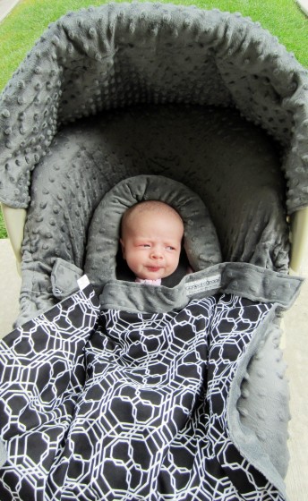 carseat canopy review
