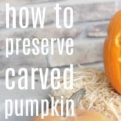 how to preserve carved pumpkin with bleach for Halloween