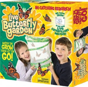 Insect Lore Live Butterfly Garden Amazon Deal