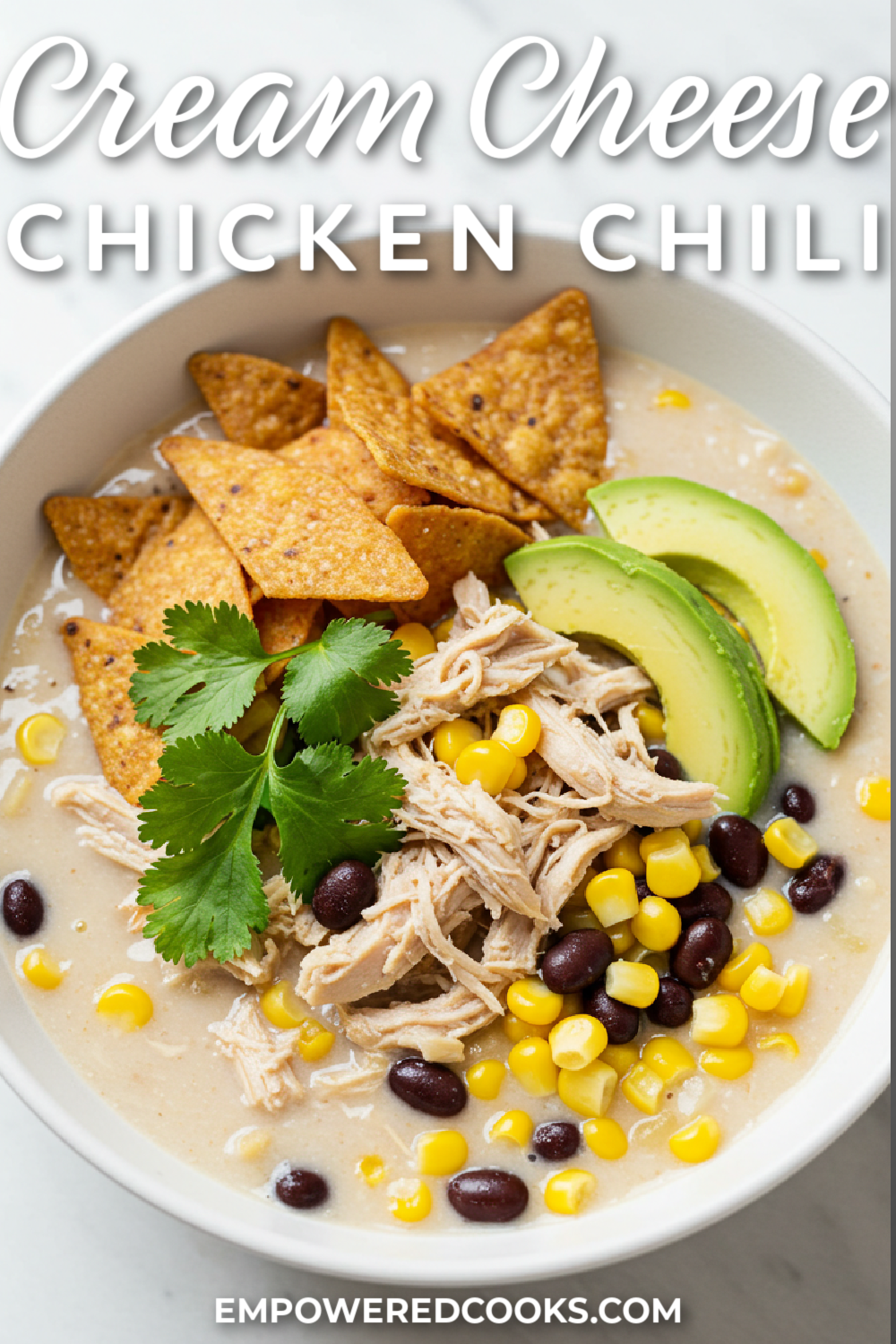 warm and comforting chicken chili