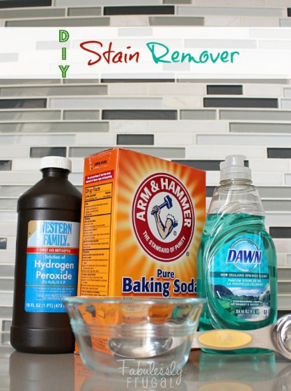 Homemade Stain Remover {Picture Tutorial}