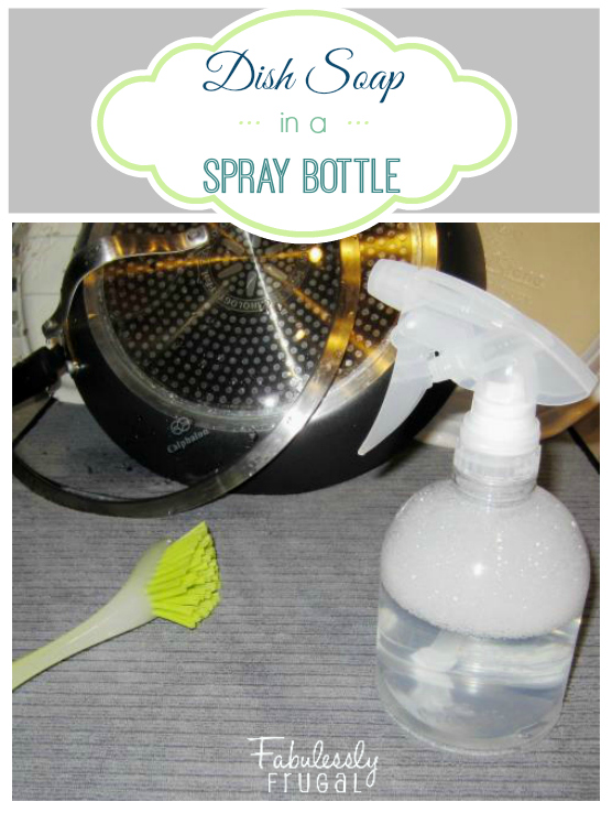 https://fabulesslyfrugal.com/wp-content/uploads/2014/01/dish-soap-in-a-spray-bottle-image.jpg