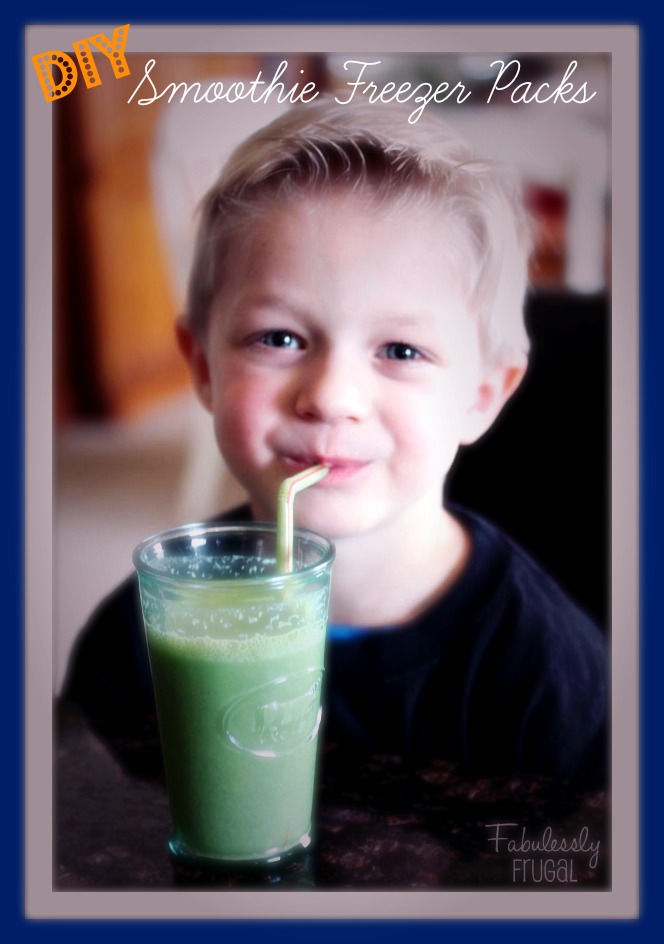 Freezer Meal Recipes DIY Smoothie Freezer Packs