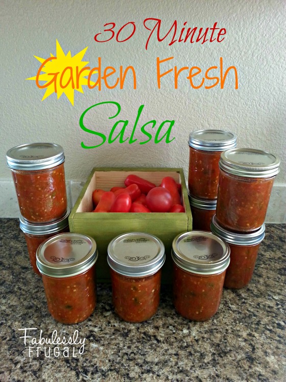 30 Minute Garden Fresh Salsa