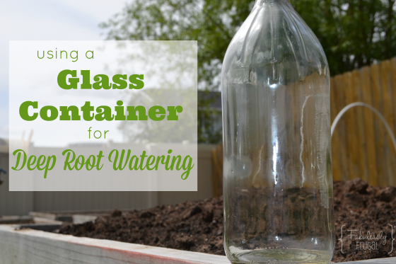 Glass Container Deep Root Watering