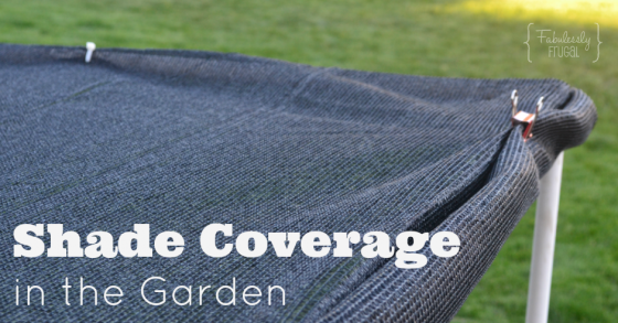Shade Coverage in the Garden