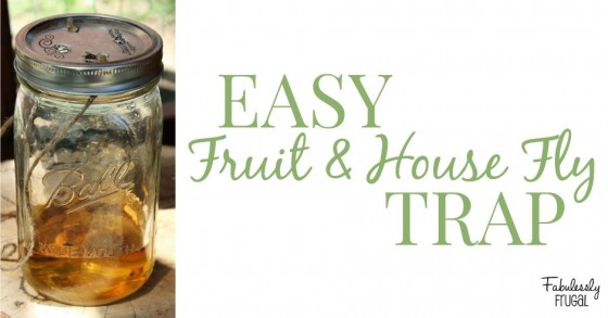 Get rid of fruit flies in the house.