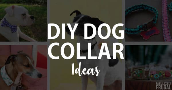 DIY dog collars